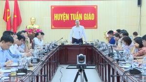 UBND huyện Tuần Giáo họp trực tuyến tuyên truyền hướng dẫn chăm sóc một số loại cây trồng