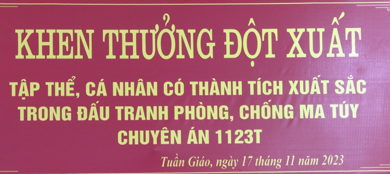 Khen thưởng đột xuất tập thể, cá nhân có thành tích đấu tranh phòng, chống ma túy Chuyên án 1123T