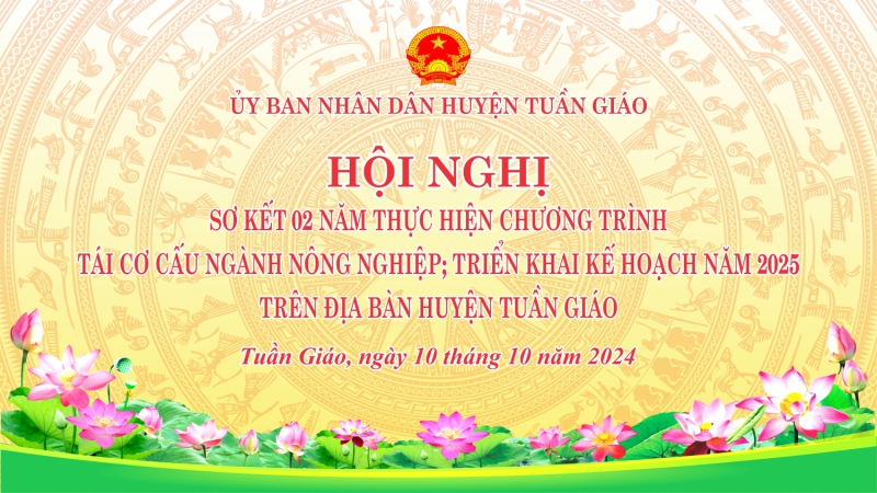 TAI CO CAU NN