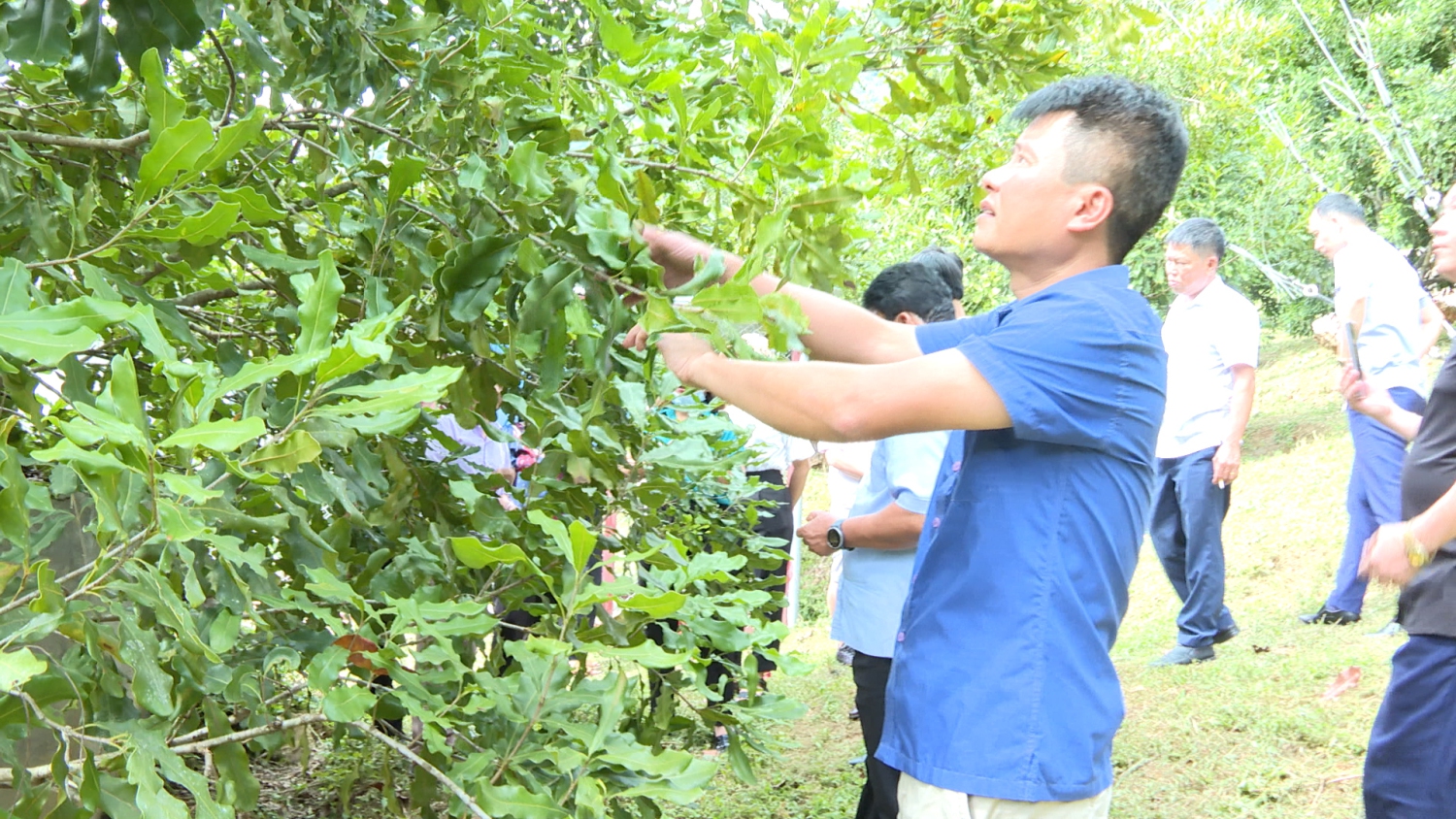 sếp trọng